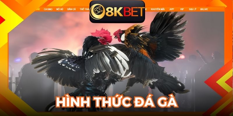 Những hình thức đá gà 8kbet hấp dẫn, giải trí