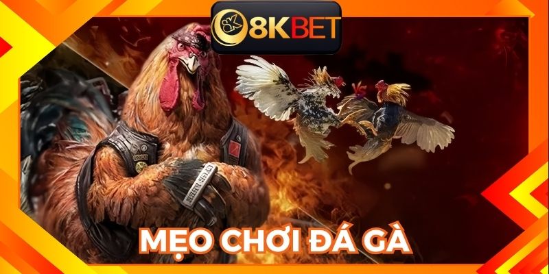 Bí quyết giúp bạn đặt cược vào sảnh đá gà 8KBET thành công